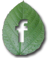 fb icon
