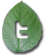twitter icon