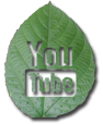 youtube icon